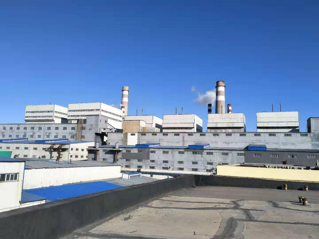 内蒙古呼伦贝尔东北阜丰项目4#锅炉（220t/h）省煤器拆装工程